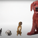 Image for article titled Someone Call a Vet